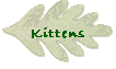 Kittens