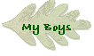My Boys
