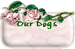 Our Dogs